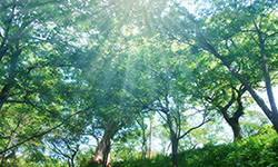 看板・印刷物のイメージ