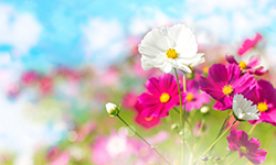 企画・イベントのイメージ